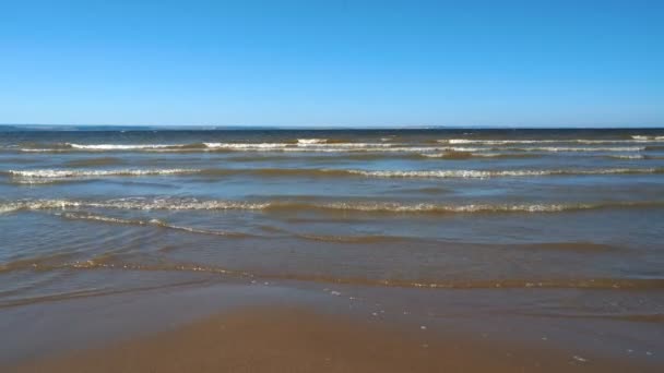 Olas en la playa — Vídeo de stock