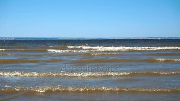 Vagues sur la plage — Video