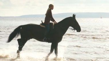 sunset bulvarında bir okyanus kıyısındaki ata atlama kız silüeti