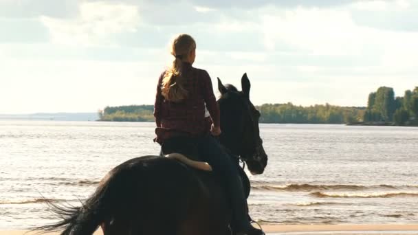 Ragazza in sella a un cavallo sulla costa in spiaggia al mattino presto — Video Stock
