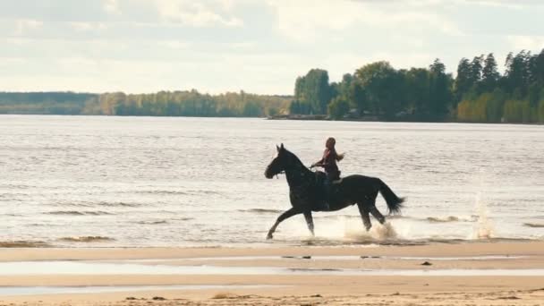 Menina montando um cavalo ao longo da costa — Vídeo de Stock