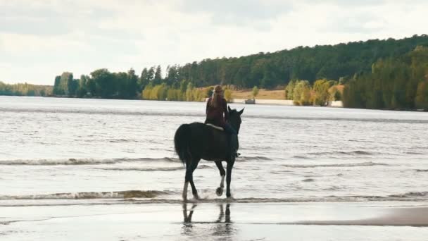 Joven bonita chica a caballo en el agua del río — Vídeo de stock