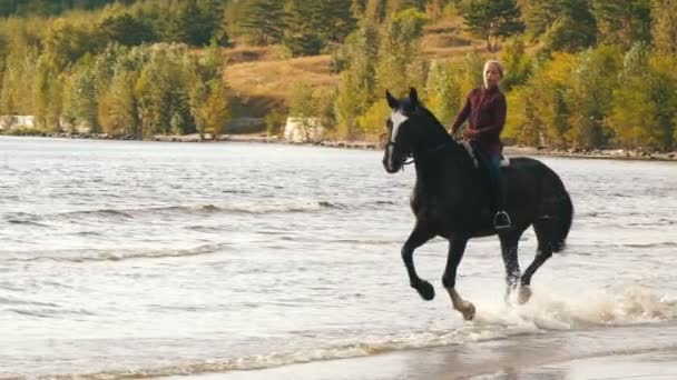 Young pretty girl riding horse in river water — Stock Video