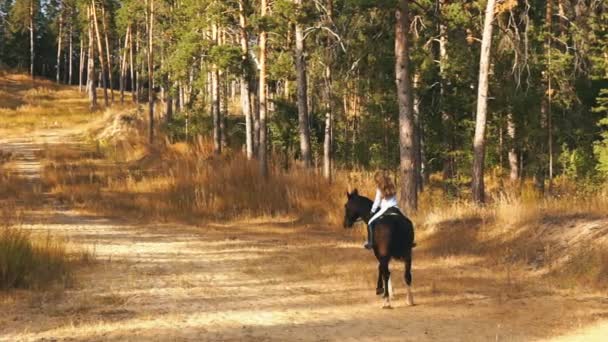 Chica en un caballo galopando por el bosque — Vídeos de Stock