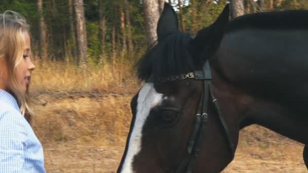 En una hermosa temporada de otoño de una niña y un caballo en un campo — Vídeo de stock