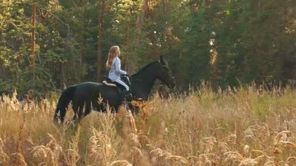 Chica montando un caballo caminando en el bosque — Vídeo de stock