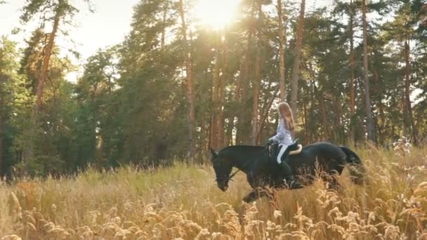 Красивая и естественная девушка на открытом воздухе с лошадью — стоковое видео