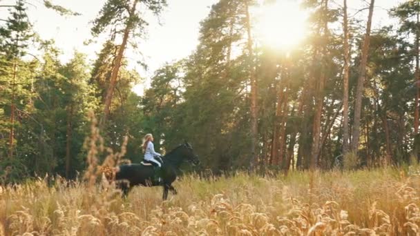 Young girl galloping on autumn field near the forest — Stock Video