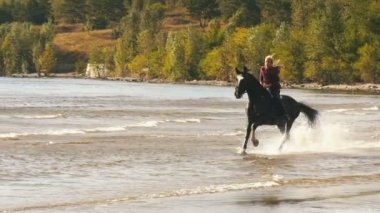Güneşli bir kenarında sular bir plajda bir kadın binici ile dört nala koşan at