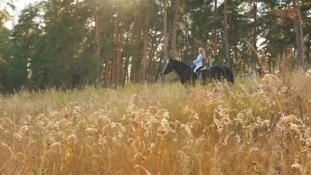 Junges Mädchen galoppiert auf Herbstfeld in der Nähe des Waldes — Stockvideo