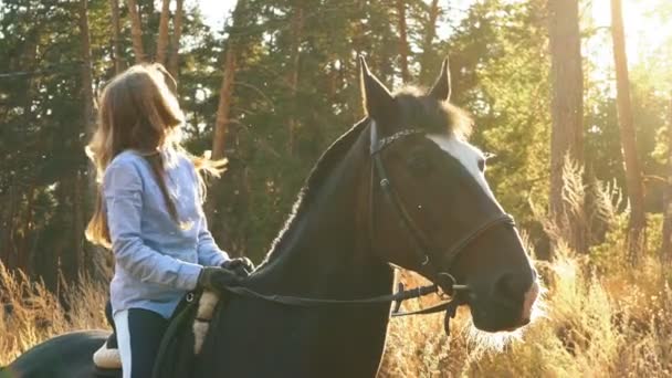 Красива і природна молода дівчина на відкритому повітрі з конем — стокове відео