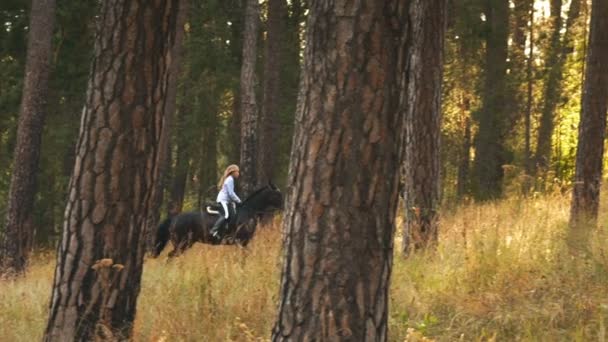 Chica montando un caballo caminando en el bosque — Vídeos de Stock