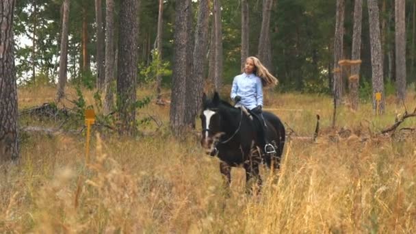 Chica montando en un caballo marrón a través del bosque — Vídeo de stock