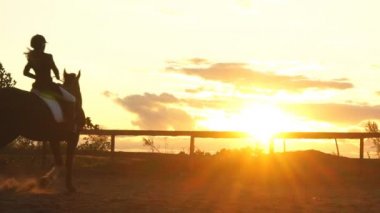 Sunset bulvarında bir binicilik genç güzel kız