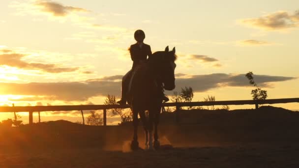 Silueta ženy, jízdu na koni, při západu slunce