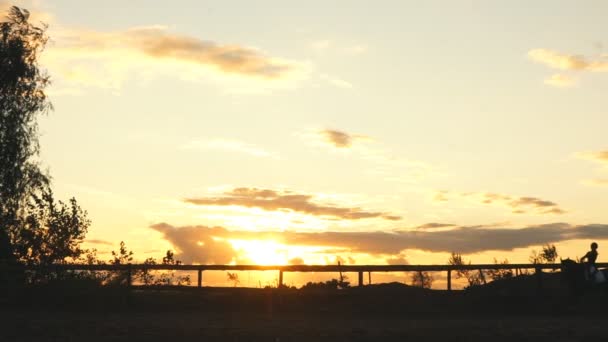 Junges hübsches Mädchen reitet auf einem Pferd bei Sonnenuntergang — Stockvideo