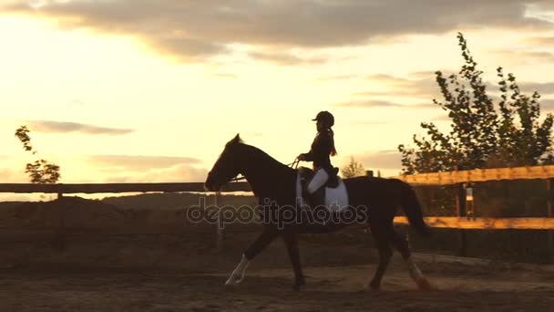 Silhuetten av en flicka som rider en häst i solnedgången — Stockvideo