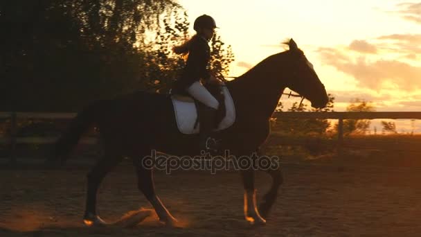 Silhouette d'une fille chevauchant un cheval au coucher du soleil — Video