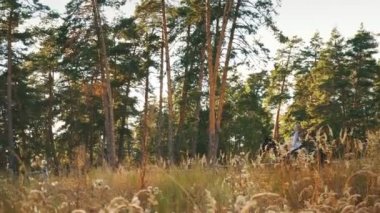 Bir güzel ve at açık havada doğal genç kız
