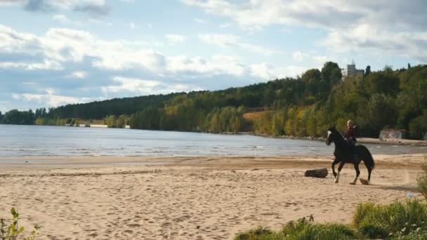 Dziewczyna na koniu na wybrzeżu, przy plaży w wcześnie rano — Wideo stockowe