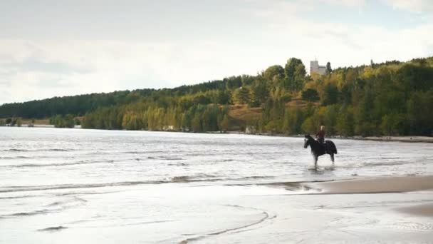 Молодая красивая девушка верхом на лошади в речной воде — стоковое видео