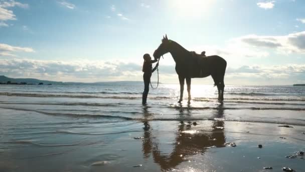 Девушка, кормящая свою лошадь на пляже — стоковое видео