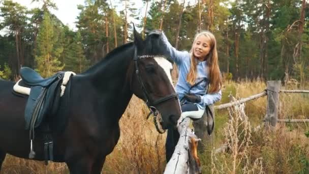 Comunicación - chica joven y caballo de la bahía en paddock — Vídeos de Stock