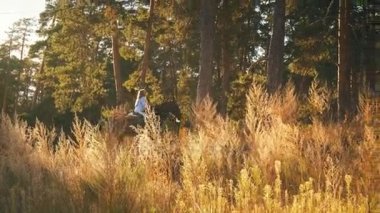 Bir güzel ve at açık havada doğal genç kız