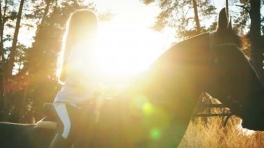 güzel kız onu sarılma ve okşayarak ata binme