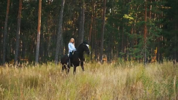 Egy gyönyörű és természetes fiatal lány szabadban ló — Stock videók