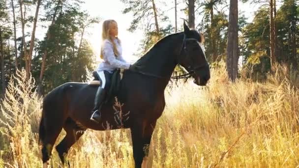Una joven hermosa y natural al aire libre con caballo — Vídeo de stock