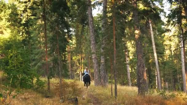 Ung flicka galopperande på hösten fält nära skogen — Stockvideo