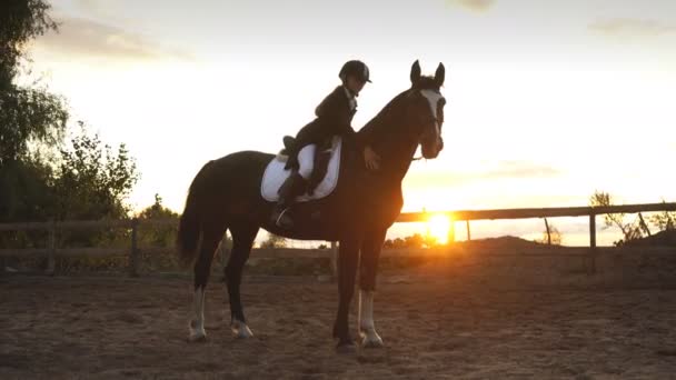 Mooi meisje berijden van een paard op zonsondergang — Stockvideo