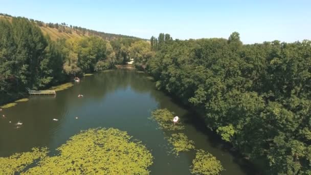 Luchtfoto op lake of the woods — Stockvideo