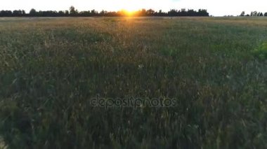 alan Sunset'teki Üstten Görünüm