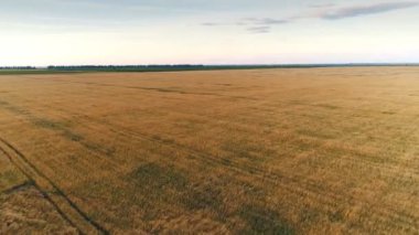 alan Sunset'teki Üstten Görünüm