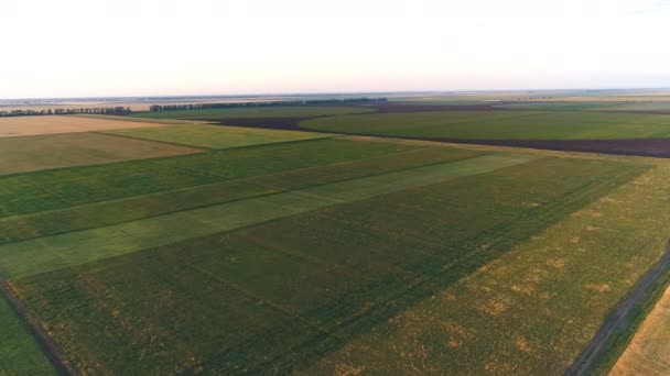 Vista aérea del paisaje agrícola — Vídeo de stock