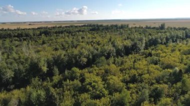 Ormanın havadan görünüşü