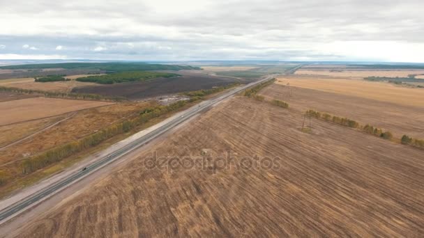 Aerial view on tracks between agriculture fields — Stock Video