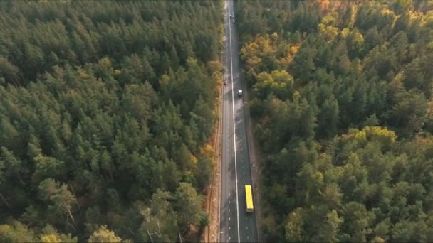 Vista aérea na estrada na floresta — Vídeo de Stock