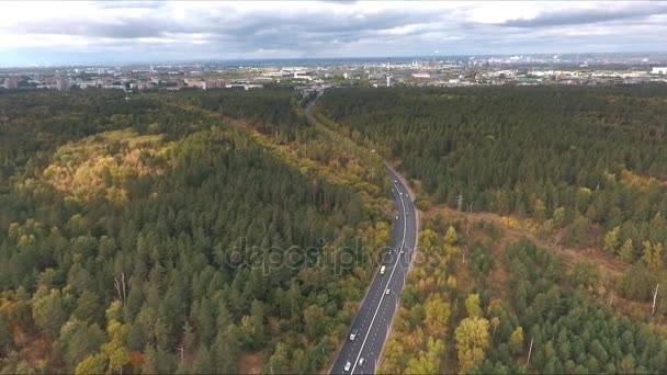 Luchtfoto op gebogen weg in bos — Stockvideo