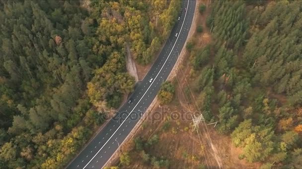 Gebogen weg in het bos van een drone — Stockvideo