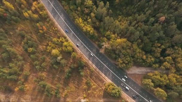 Road view from above — Stock Video