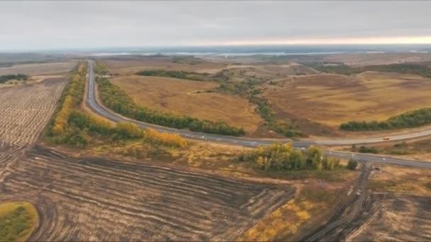 Vista aérea sobre as vias entre os campos agrícolas — Vídeo de Stock