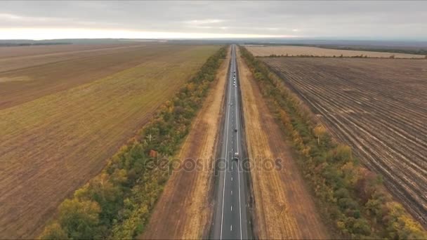 Воздушный вид на пути между сельскохозяйственными полями — стоковое видео