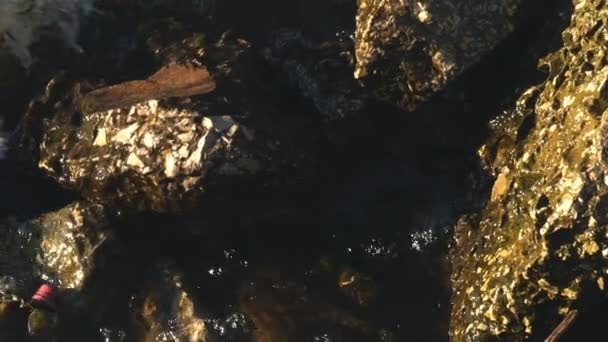 Розбиття хвиль на скелях — стокове відео