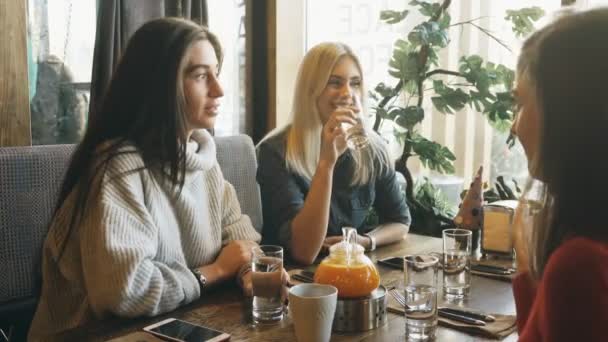 Εταιρεία φίλων μιλώντας σε μια καφετέρια και έχει τη διασκέδαση — Αρχείο Βίντεο