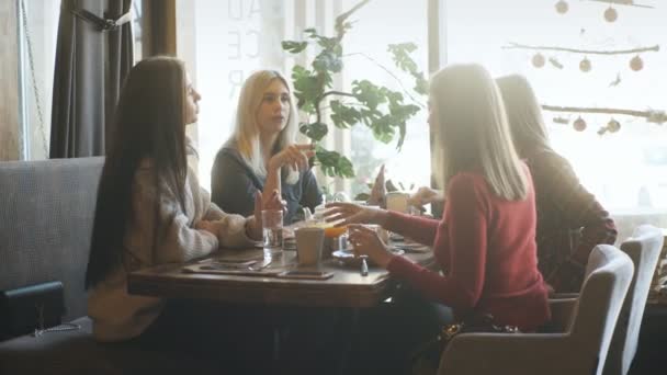 Друзья компании разговаривают в кафе и веселятся — стоковое видео