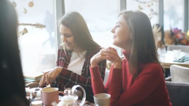 Grupp av fyra ungdomar sitter vid bord i restaurangen och ha roligt medan du äter. — Stockvideo