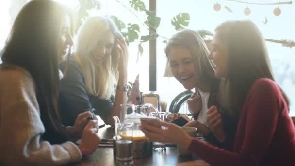 Cuatro amigos miran el teléfono y se ríen — Vídeos de Stock